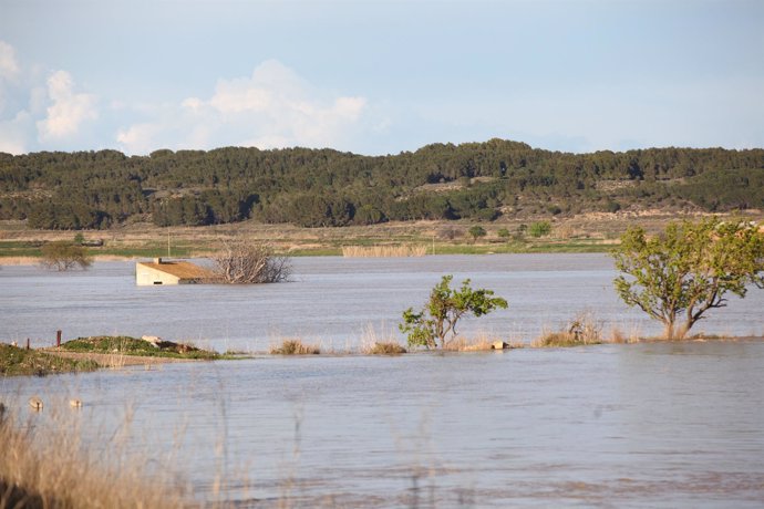 Río Ebro a su paso por Novillas.