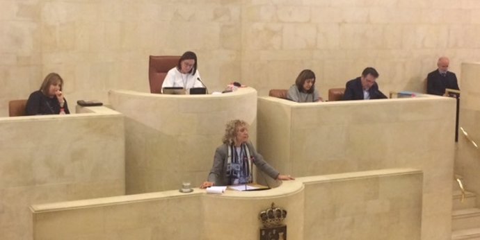 Eva Díaz Tezanos en el Pleno del Parlamento