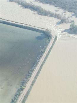 Mota de Pina de Ebro