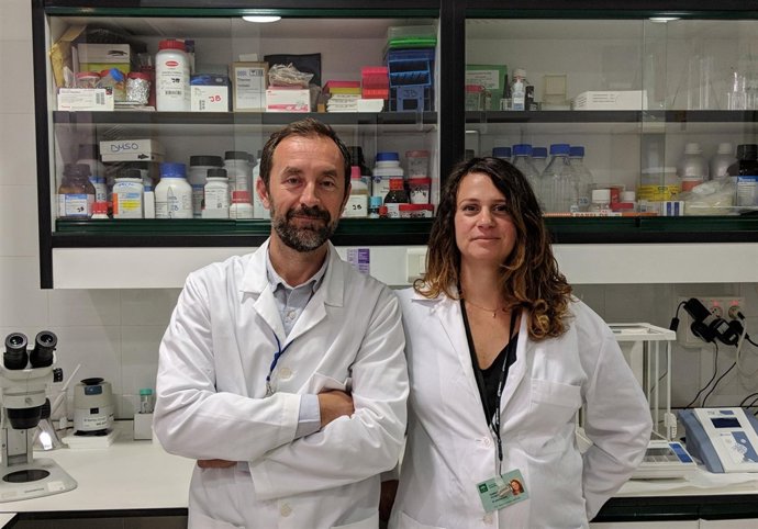 Investigadores sanidad Cabimer javier bermúdez Yanina Romero diabetes 1
