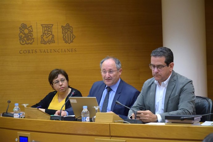 Joan Llinares en su comparecencia en Les Corts