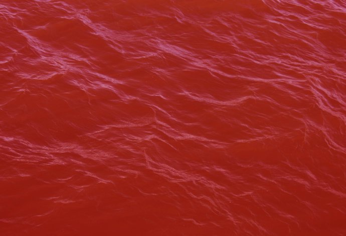 'Color Sea'
