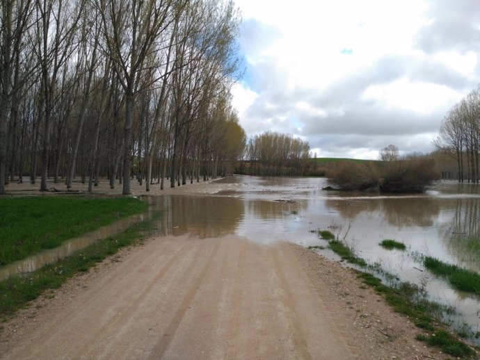 El río Eresma desbordado en Hontanares. 17-4-2018