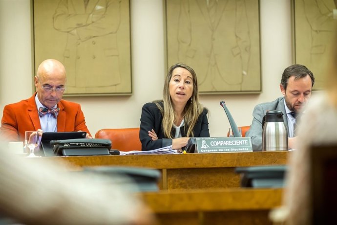 La secretaria de Estado de Función Pública, Elena Collado, en el Congreso