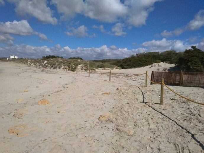 Parque Natural Es Trenc-Salobrar de Campos, dunas, sistema dunar, playa