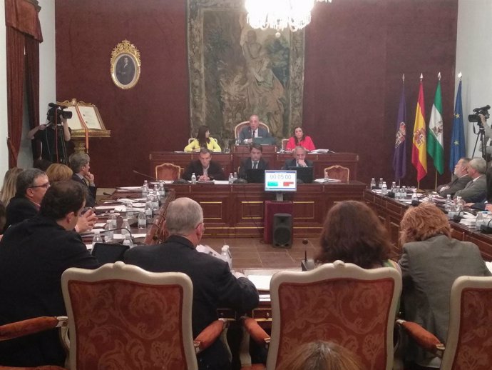 Ruiz (al fondo) interviene en el Pleno