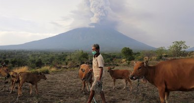 Cambio Climático