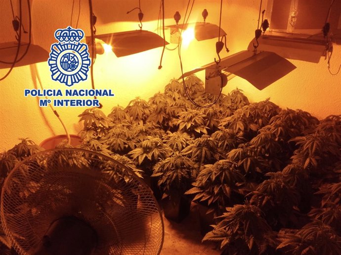 Policía Nacional Nota De Prensa Y Foto "La Policía Nacional Se Incauta De 256 Pl