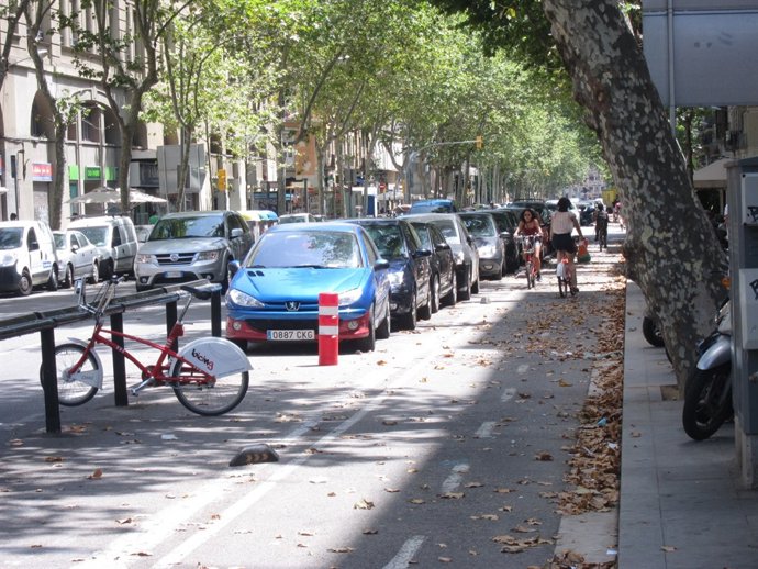Carril bici de la Ronda Sant Pau davant una parada del Bicing de Barcelona