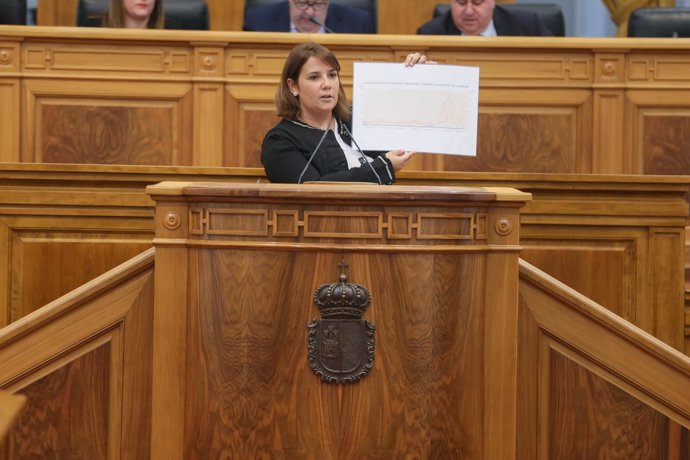 García Élez en el pleno