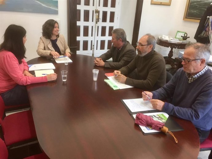 La vicepresidenta de Diputación de Cádiz, Maribel Peinado, en una reunión