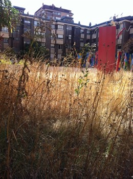 Valladolid.- Finca del Museo Gabarrón