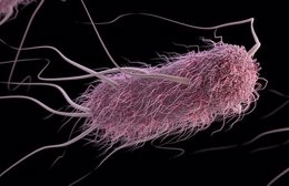 Descripción artística de una bacteria