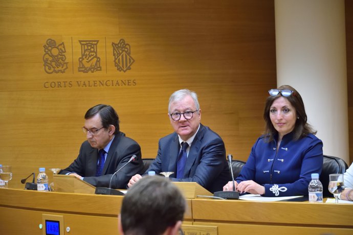 Valcárcel en la Comissió de les Corts per les institucions firals