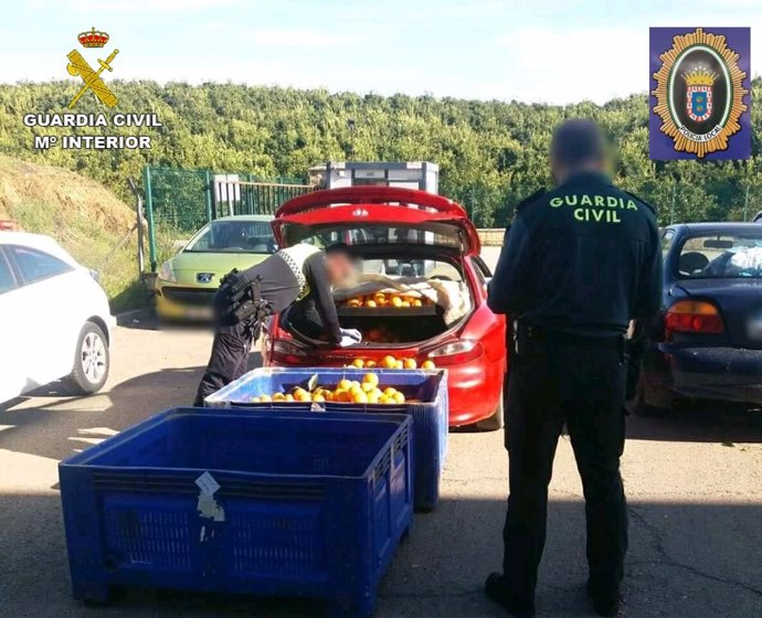 Recuperan más de 1.000 kilos de naranjas robadas en El Campillo.