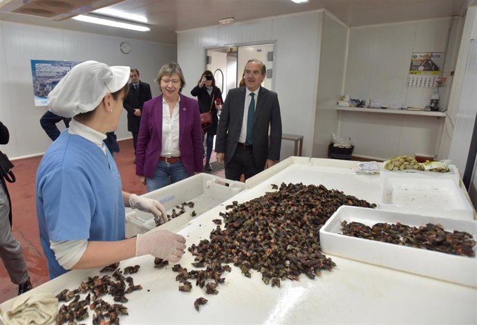 Rosa Quitana visita a local procesado marisco