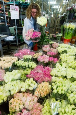 Rosas de Sant Jordi en Mercabarna 