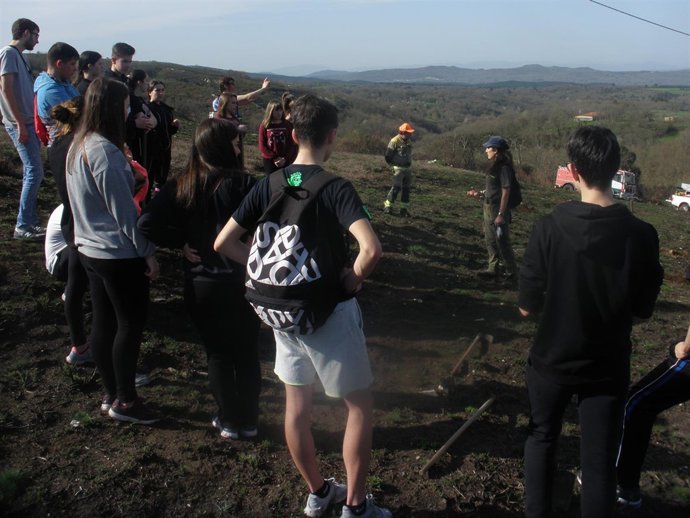 Plantación de frondosas en un terreno quemado en San Mamede