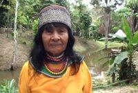 Asesinan a Olivia Arévalo Lomas, líder indígena del pueblo peruano Shipibo-Konibo