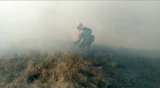 Controlado el incendio de Los Tojos, que ha arrasado 100 ha de matorral y roble