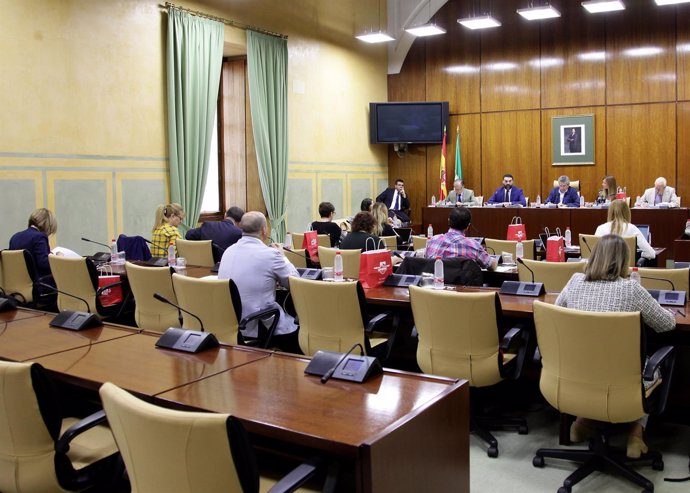 Comisión parlamentaria de Turismo y Deporte