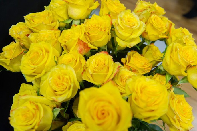 Roses grogues per aquest Sant Jordi 