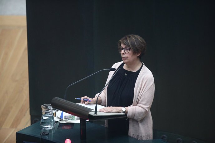 La delegada de Medio Ambiente en el Ayuntamiento de Madrid, Inés Sabanés