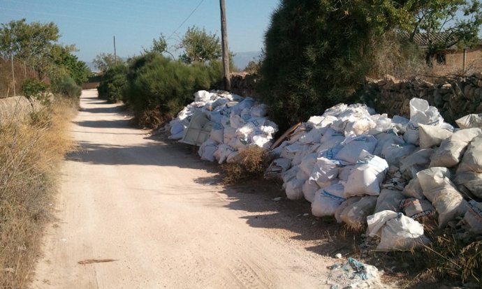 Camino Palmer con escombros