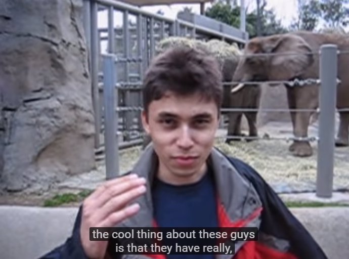 El priemr vídeo subido a Youtube: sobre elefantes y en 2005