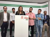 PSOE-A: PP "tiene la responsabilidad histórica" de rectificar los PGE que "perjudican" a Andalucía