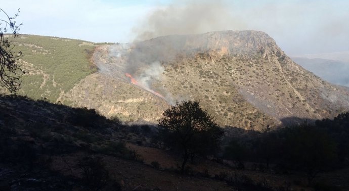 Incendio forestal en Felix (Almería)