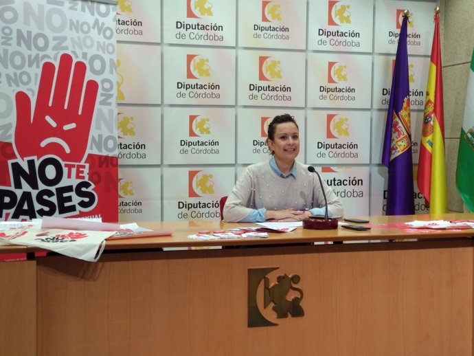 Guijarro presenta la campaña 'No te pases. Paremos la agresión sexual'