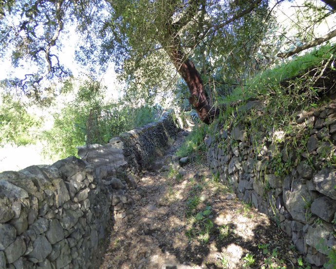 Imagen del sendero circular a su paso por El Castillo de las Guardas