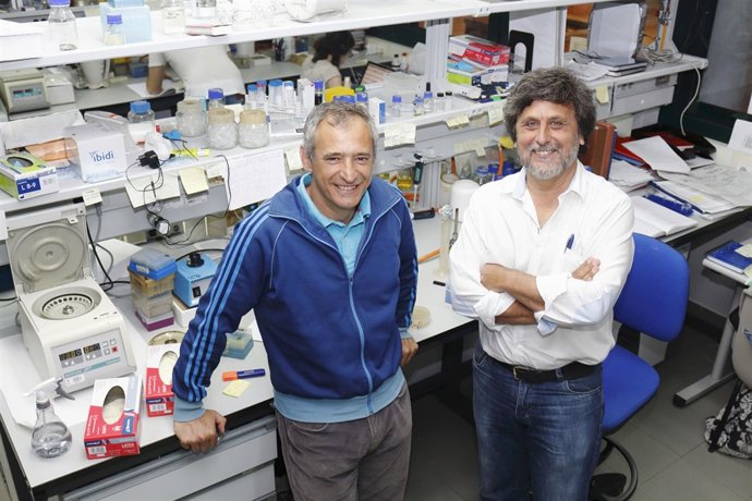 Investigadores del CABD.