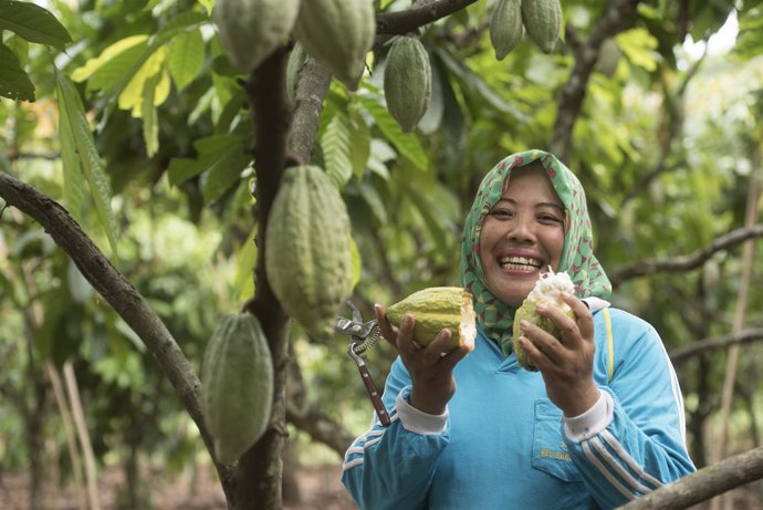 El programa 'Cocoa Life' de Mondelez Internacional empodera a agricultores y com