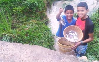 Lluvia de peces