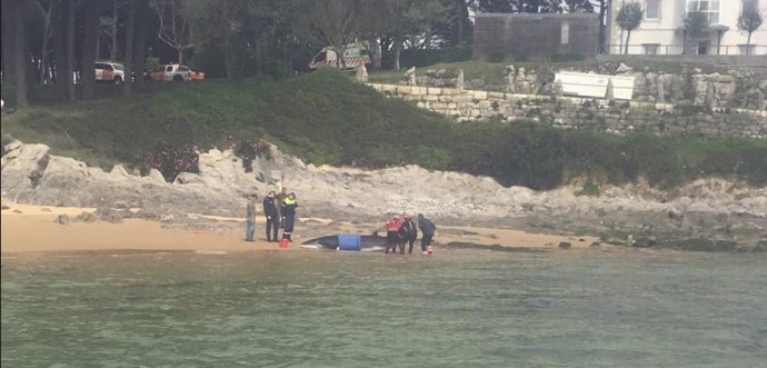 Efectivos de emergencias junto a la ballena varada en la playa de Bikinis