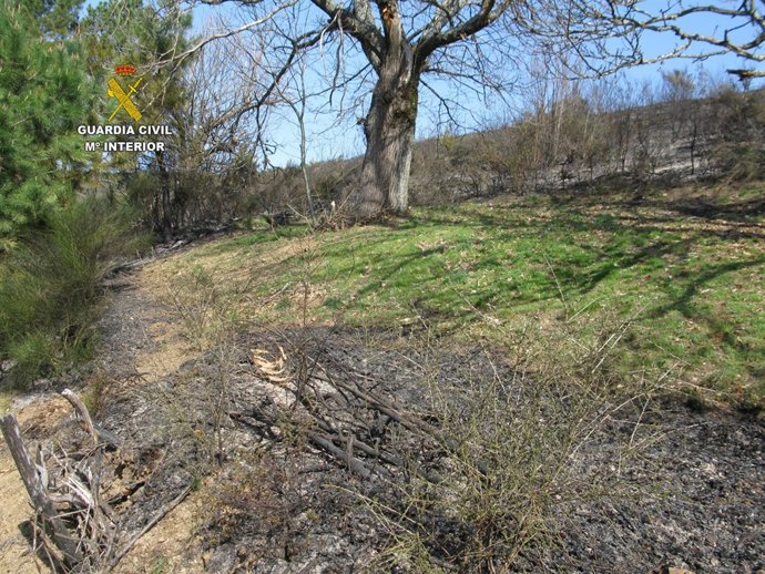 Paraje donde se produjo el incendio. 