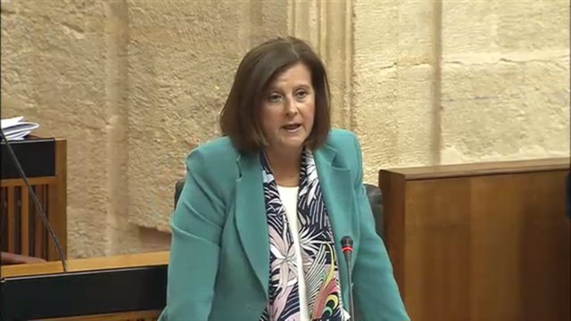 Sánchez Rubio,  en el Pleno del Parlamento días atrás.
