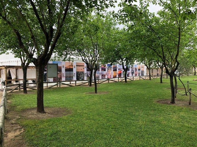 Preparativos para la II Doñana Natural Life. 