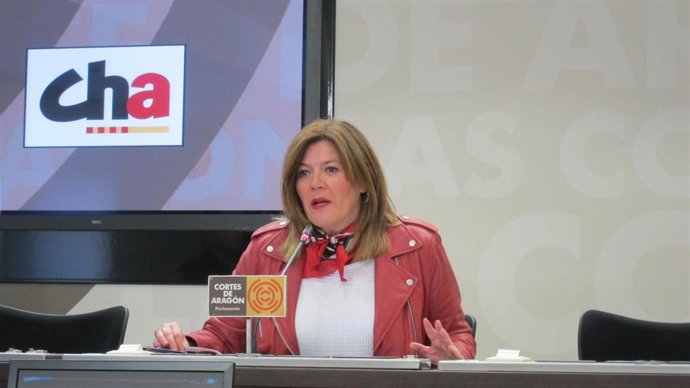 La diputada de CHA Carmen Martínez Romances