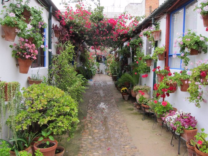 Los patios son un atractivo turístico de Córdoba en distintas épocas del año