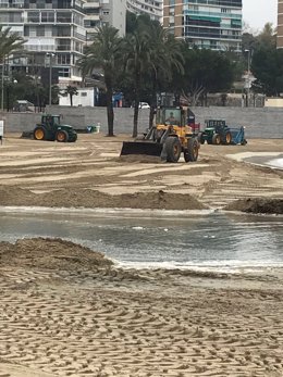 Trabajos de acondicionamiento en las playas de Alicante