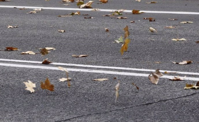 Viento, hojas, otoño, rachas