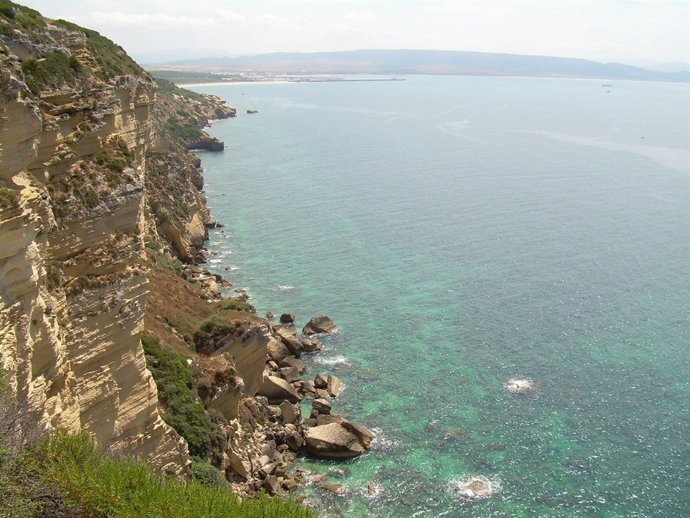 Breña y Marismas del Barbate