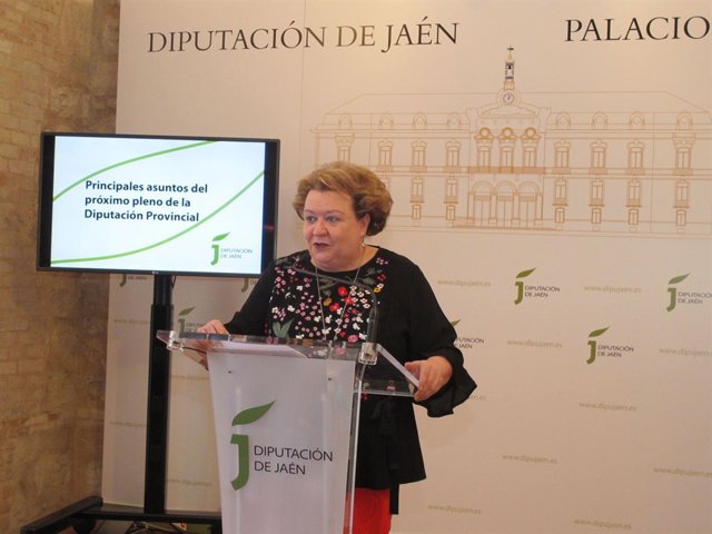 Parra inofrma de los principales asuntos del pleno de la Diputación de Jaén.