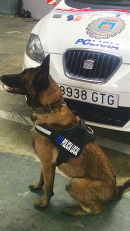 Kata, perro policía