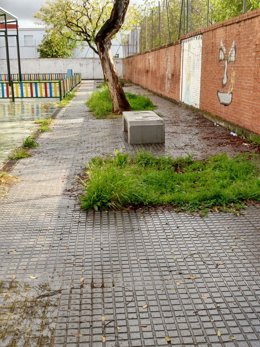 Participa avisa de deficiencias en las zonas verdes