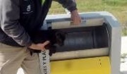 Rescatado un perro atrapado dentro de un contenedor de Lebrija