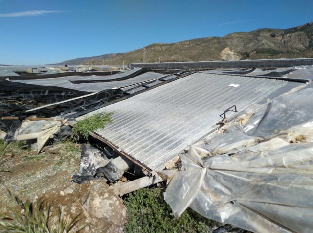 Uno de los invernaderos derribados durante la tormenta de granizo